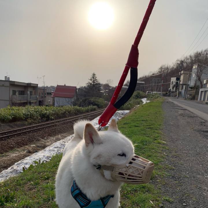 E3900935 cd05 40cb 8c22 262e0ef56e25 1681163777491