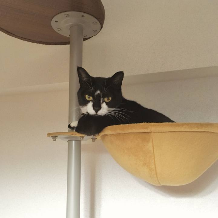 E3905034 0f4c 471f b85c ba86f8b91cce 1775102278519