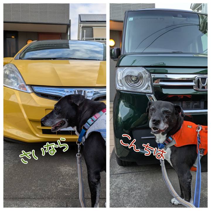 E3905419 d462 477d a871 e52cd1345ab9 1753958988979