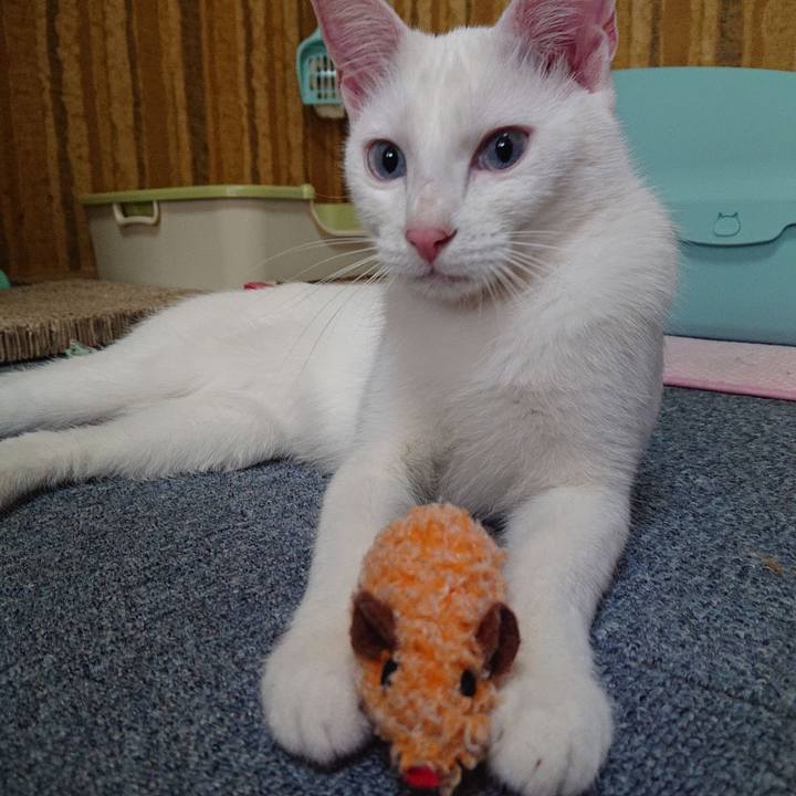 E390c6d7 16c6 424f babc 4123cdb80bd6 1577939079100