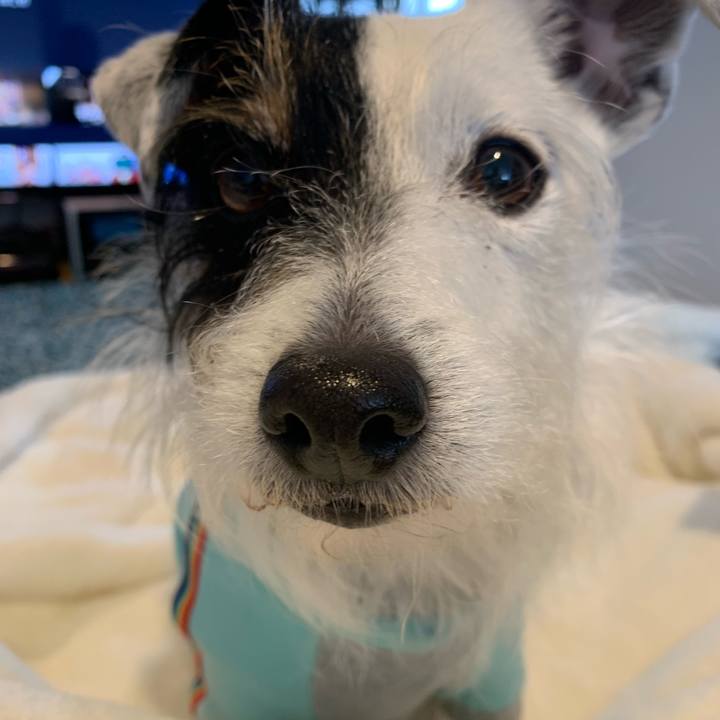 E390dfa0 4af2 44fc 867e 702dedeadd69 1642911727900