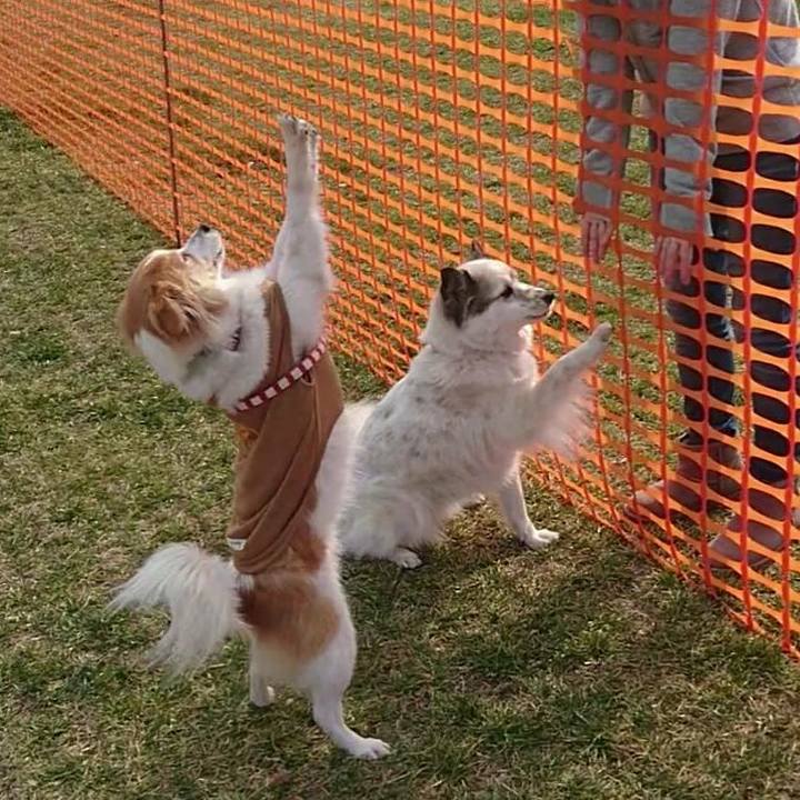 E390e6da 7211 4ca7 9ebd 1e13e4e29fc1 1548849506527