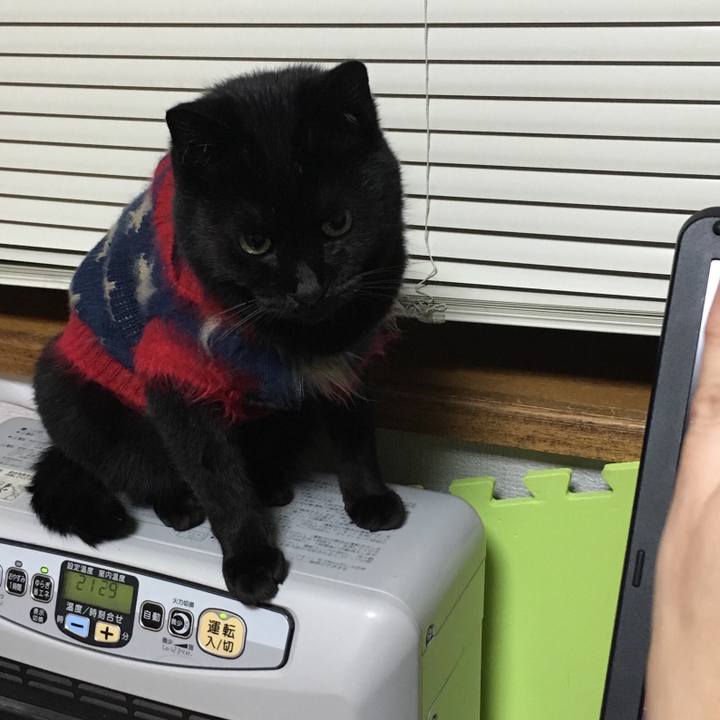 E390f29d 52b7 401a afe5 83b8f6f288b0 1542141618003