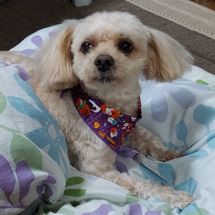 E3912440 75a8 4955 8b4f cbe7cfd62f20 1662887442632