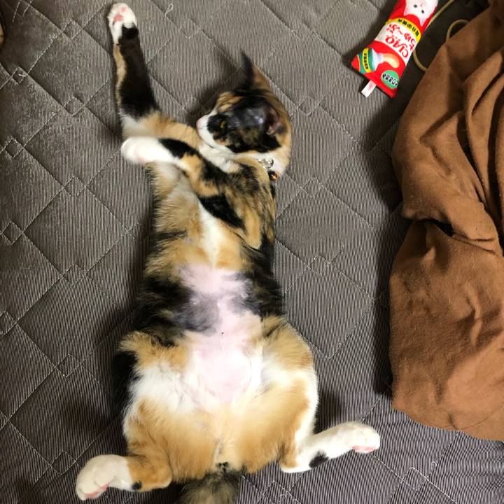 E3915e08 2f2c 4392 b44a 0dcf6310b33c 1564125852203