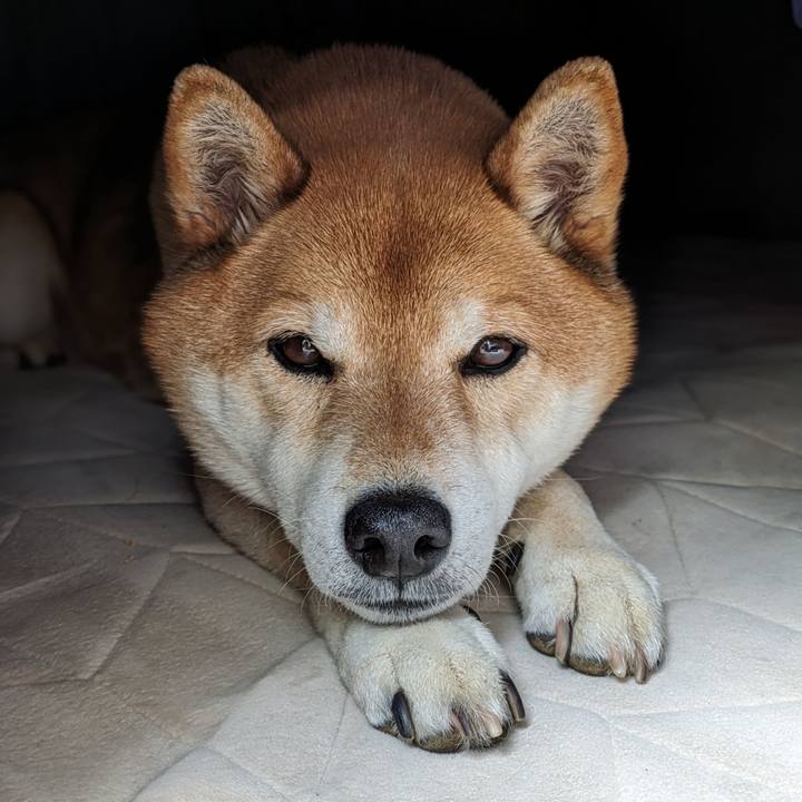 E39170de 6a62 4046 aa2f 529de2675da4 1711253977226