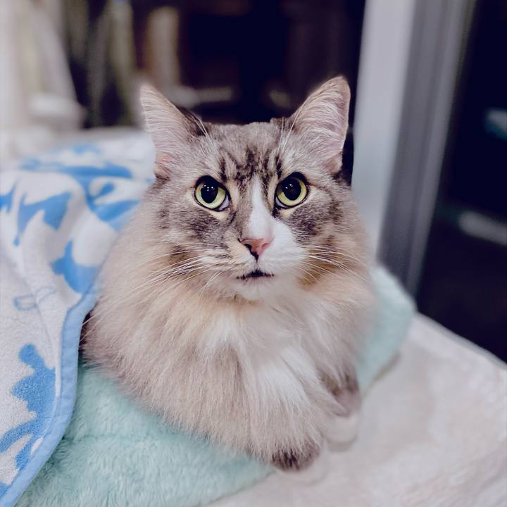 E3918215 275c 475b aa85 f0b16ab9d85d 1763910854004