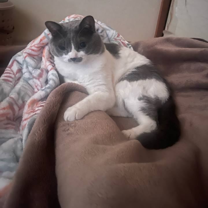 E391826c d545 48a9 a9b0 b2663e989d98 1697840092043