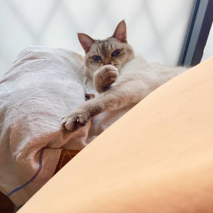 E3919f28 b3d3 4938 ae6d 16d3389ca2a6 1561793141395