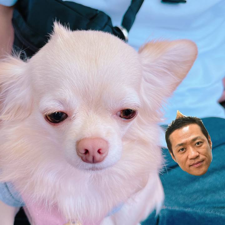 E391b375 97c6 4a69 a913 d25717fa7112 1667131196497