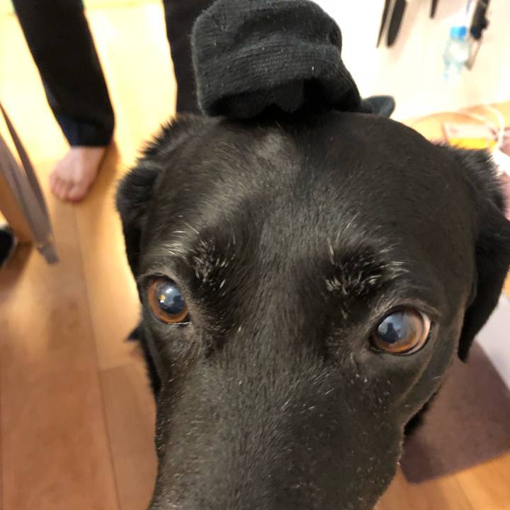 E391e525 4cbb 4b4b bf4b 167fb0049d1a 1527204134427