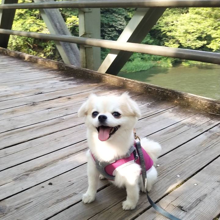 E3923940 0186 4f5d 8d9d 42214aab3b67 1724590523784