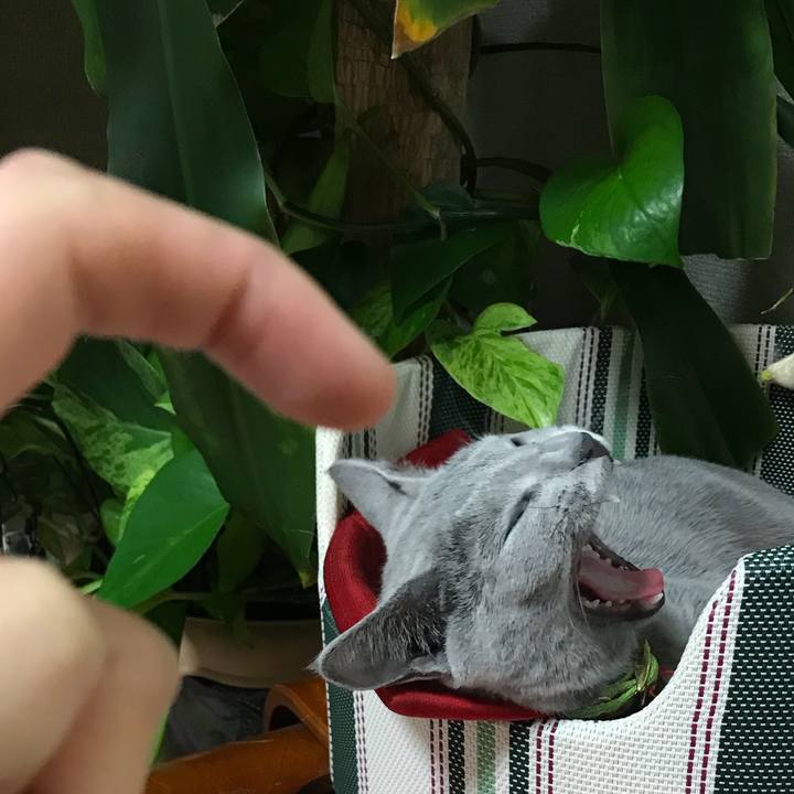 E3924381 11fd 4333 954f 4d7323b223f3 1511104939729