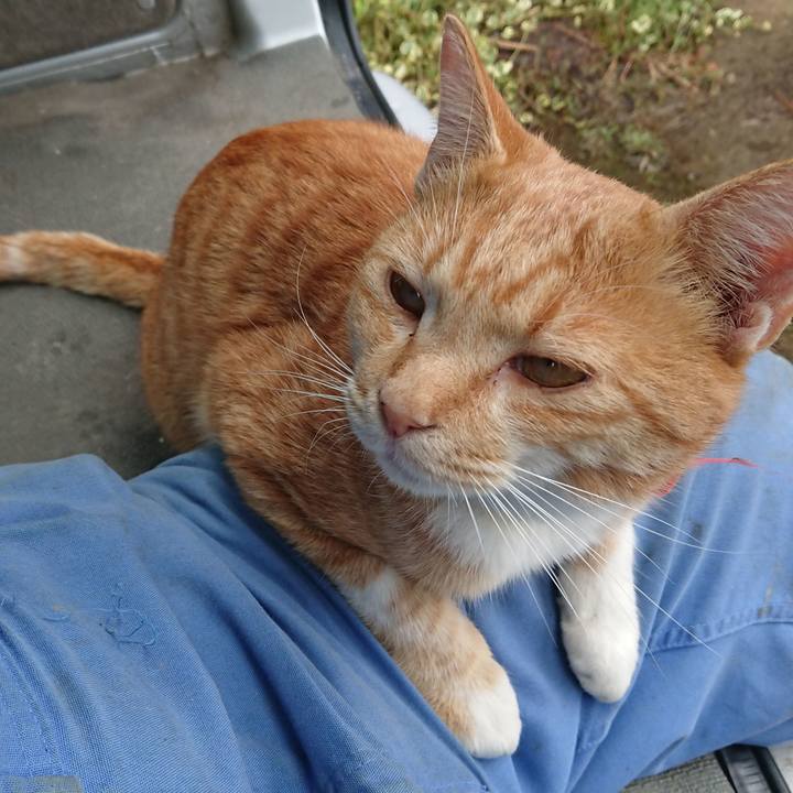 E39264a7 1084 4ae8 867e 2c530577bfe3 1571447052894