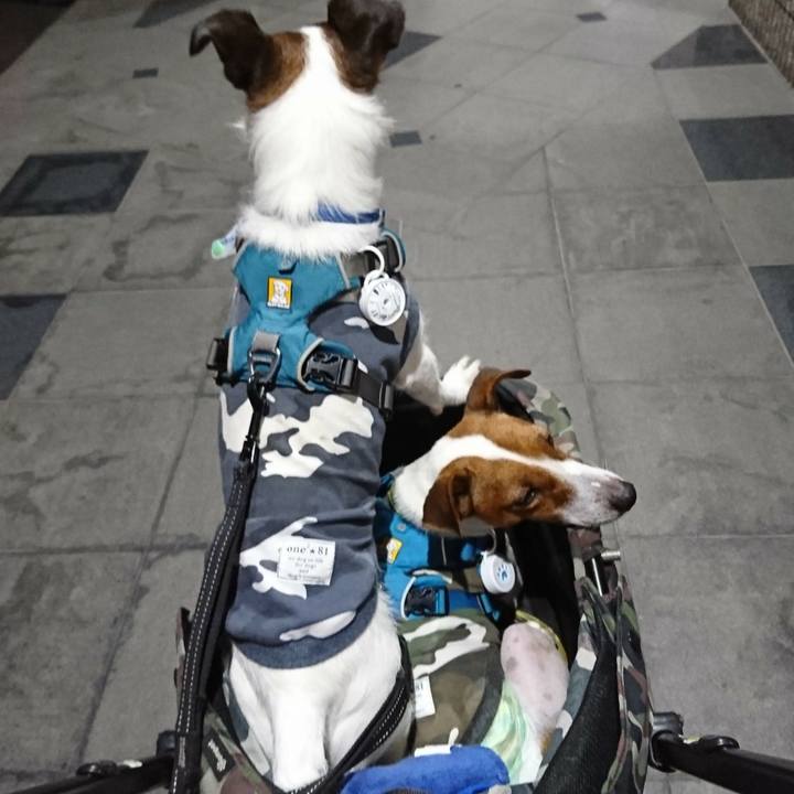 E39275c1 0ada 4e90 9e3e 2f448f77ae2f 1566745208357