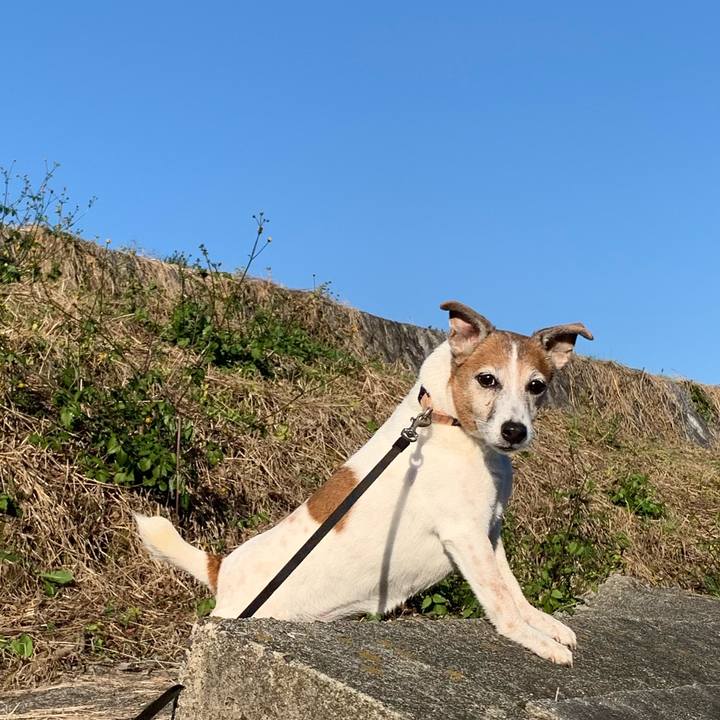 E392e6a8 0e8e 4c88 9bee 9ca0e65104b6 1605397090120