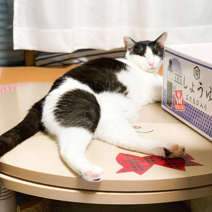 E3931dc5 f50d 4b68 8b95 d347f416d3f7 1568166088500