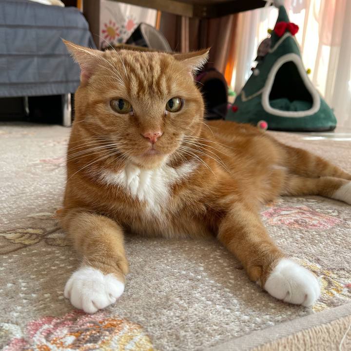 E39339e7 cd6a 4e70 9d8c 53b207d69a35 1613879814867