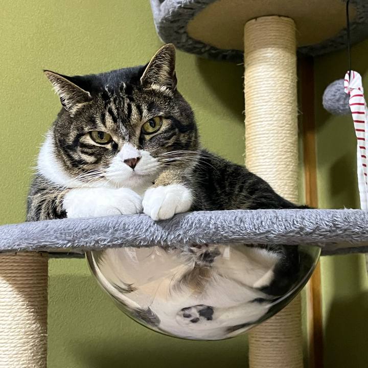 E3934142 7231 4d27 92e9 11e5a4590fbe 1775866095033