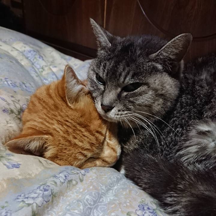 E39347e2 fdde 4bd2 8b9e 72dc8210ba62 1578657937106