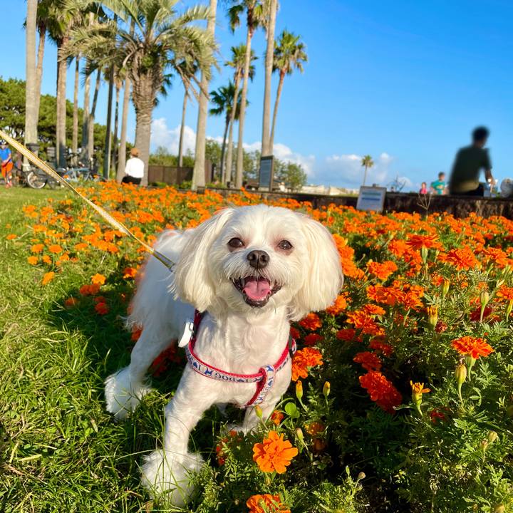 E3936afa d791 4db4 a6a2 3015a1784285 1633856506147