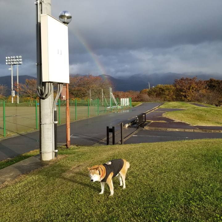 E393a402 64e2 408e 8362 853eae2bfc09 1730961034897