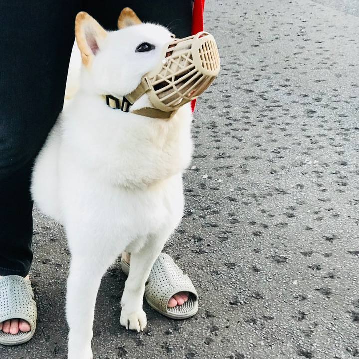 E393b3e8 14f0 4500 b21c c72b831b3119 1537217238256