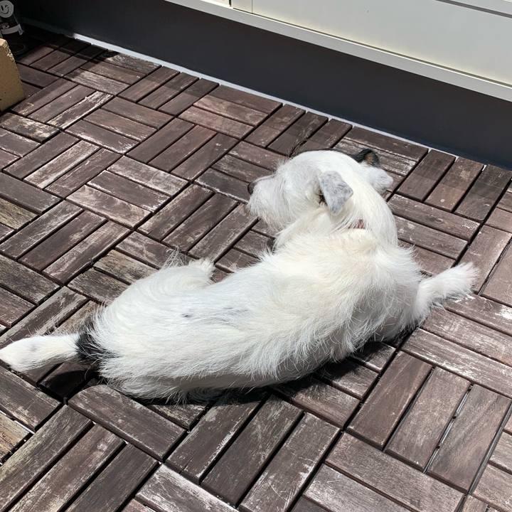 E393c4db 1c3f 49e2 b4d4 73fdeba1d6c8 1653881172044