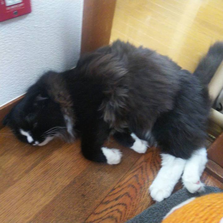 E393d6d3 aecc 487f 92b3 6605fb1df7d4 1656558498403