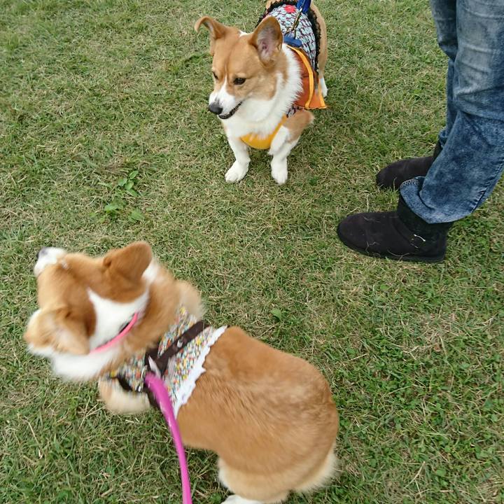 E393e990 aa43 4cff 91a7 f80b0b866518 1540031626825