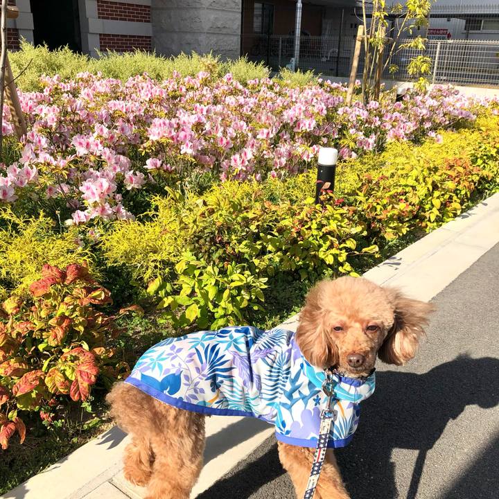 E393ef2c f00c 47a3 898b 5f24b2cfbe0c 1619519780950