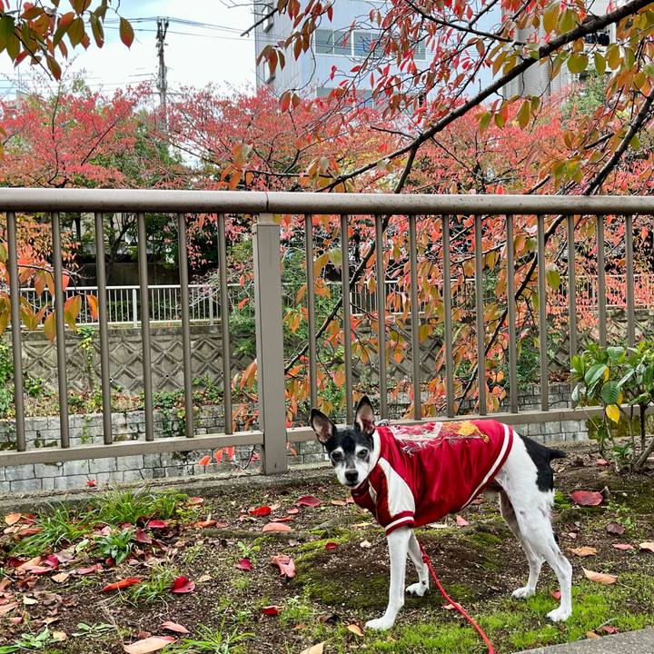 E393f8ec 65f4 412a bdff 2b76ffb07834 1636879474807