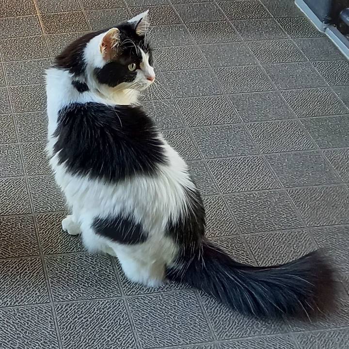 E3941603 44da 4dd7 a148 82d6fffc2829 1605252460120