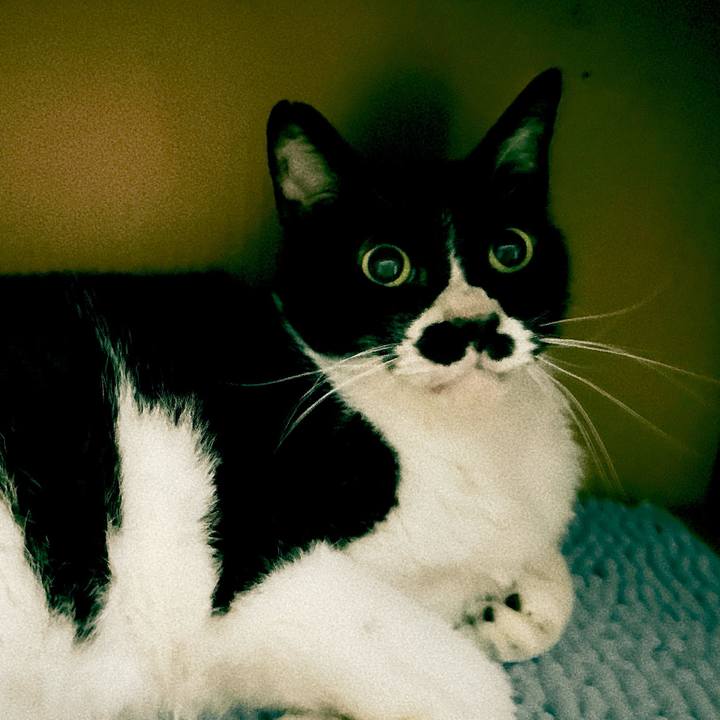 E394379a 9acb 4469 a553 6ce93b26b38a 1721742642763