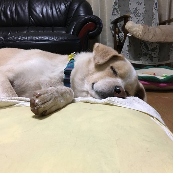 E3943e7e d673 407f add3 83184731a97e 1530027085557