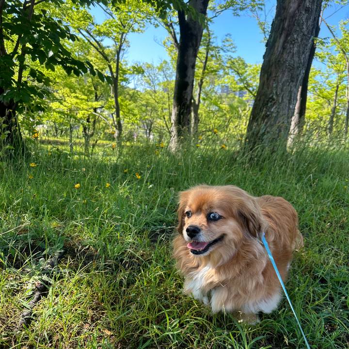 E3944769 c488 4d5e b95f f9b5d8a13418 1684541130768