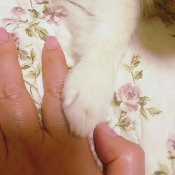 E394566f ee5b 4c18 acea 58de7426df18 1522234817261