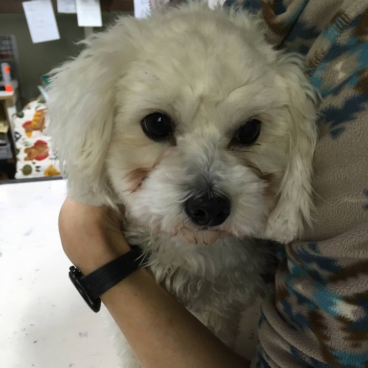 E39460ad 0426 406b a05c 9c0dd3348b70 1548135347174