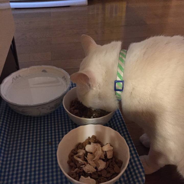 E3946835 80d2 445f b454 f02ca7557bd6 1520464989418