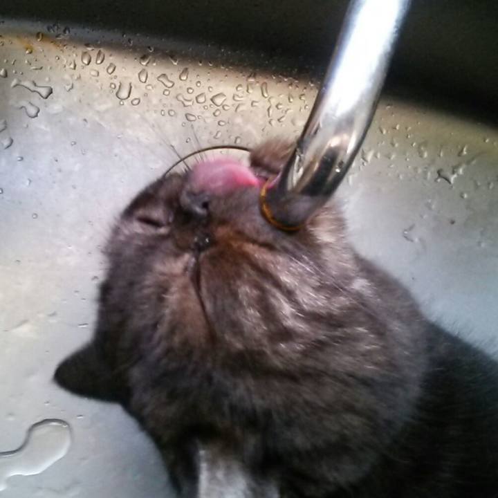 E39486fe 89c4 487b b453 22c26b3d41ed 1549076249011