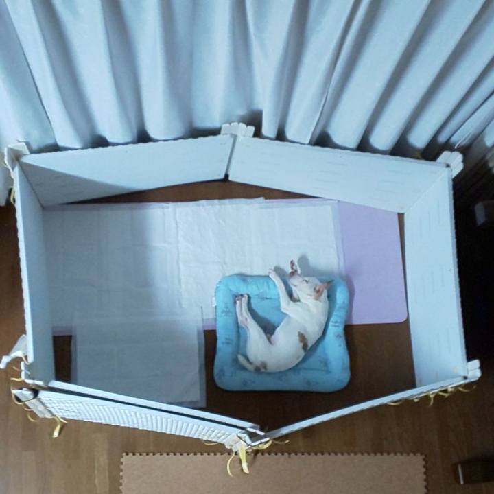 E394edbd 93ea 43a5 96f3 74650e8e9d9a 1565536339742