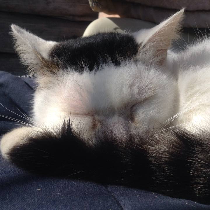 E3955bda 9a29 41de 8e5b 6220de128a58 1546734883078