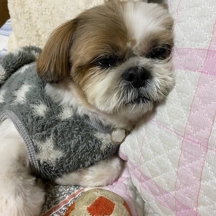 E3956700 5a82 4bf4 a982 66807fd345af 1604227962883