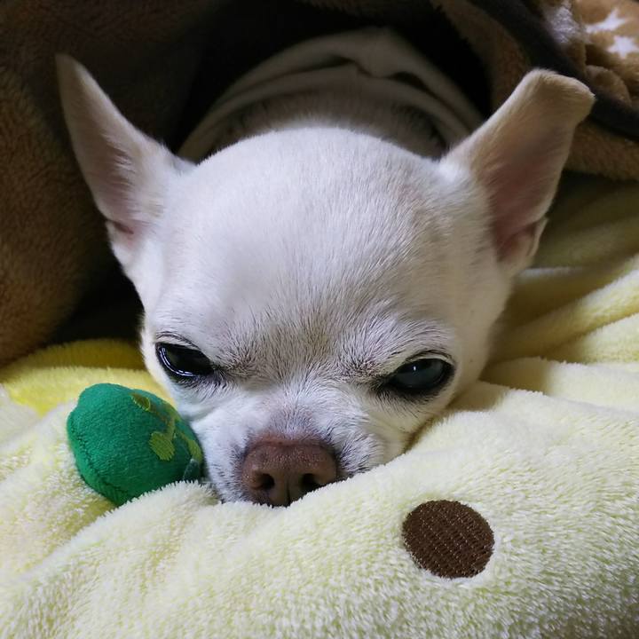 E395b842 4cb2 4ecd b740 17d49a67b626 1521110754140