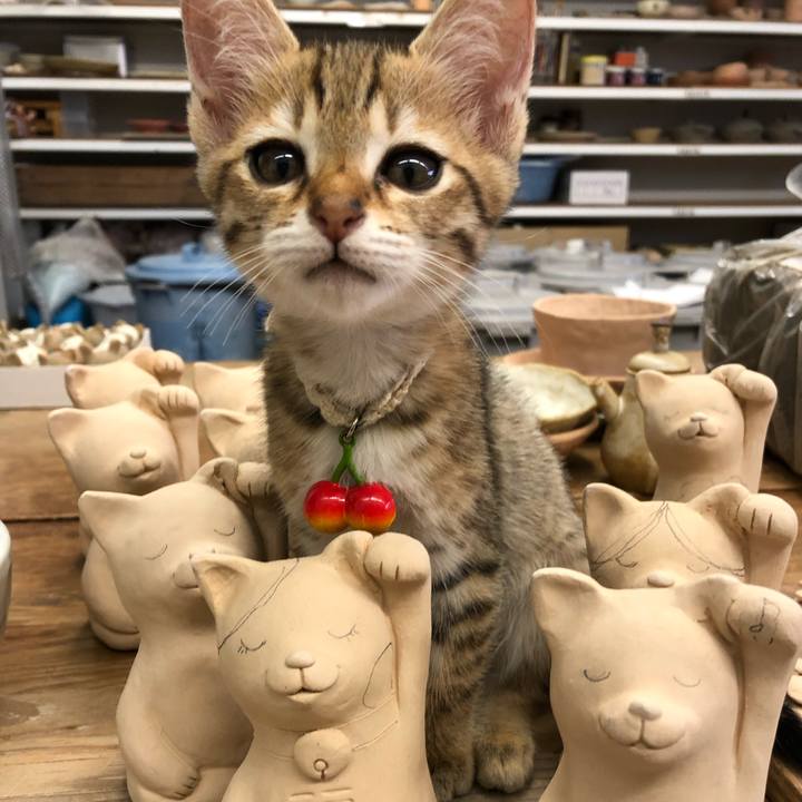 E396311b a6fd 4a72 b961 13e29c67a952 1714306770687