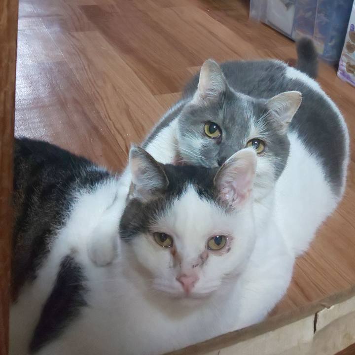 E3964902 052c 4e22 83af 9ec2927f5f35 1644168753019