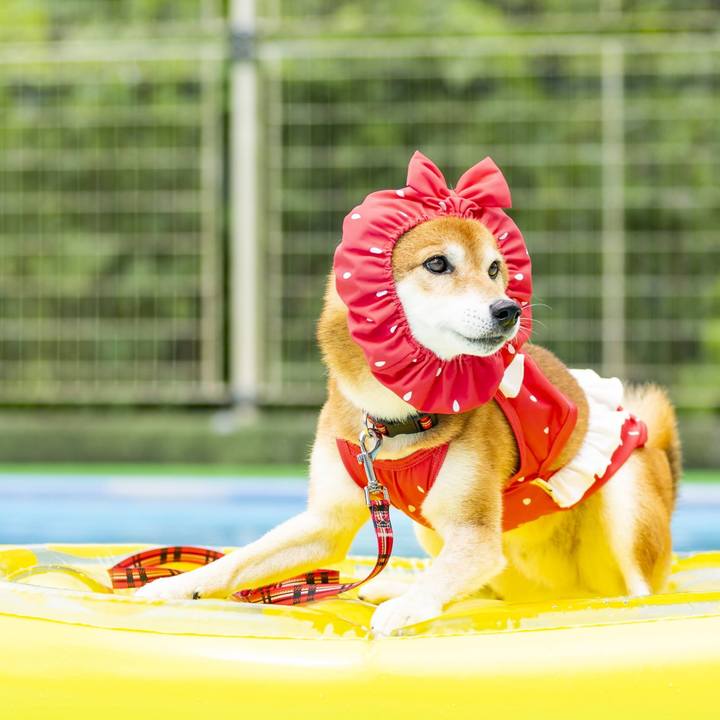 E3965743 eca6 4459 aa03 a679bdb333d9 1696564824855