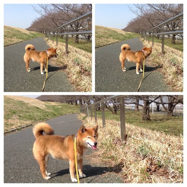 E3968e24 0105 4b51 af83 1a9d19c3e9fd 1520913534184