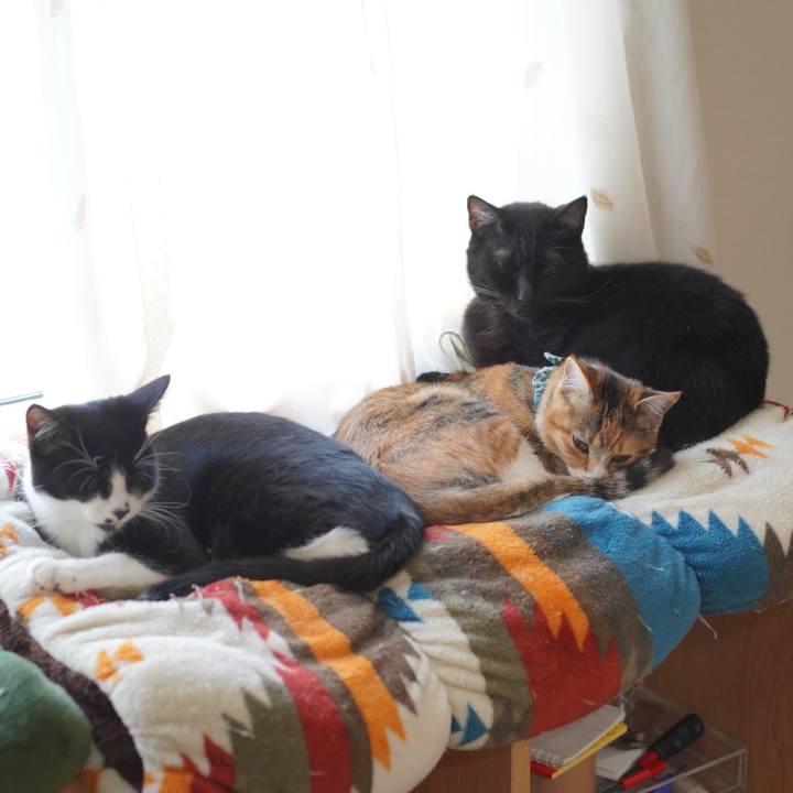 E39694bb 9ccd 4b9d b407 c53d9ab3dbfb 1582090271940