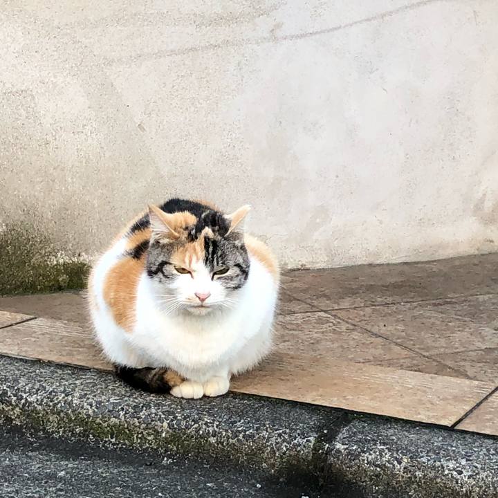 E3969882 ebb2 46ad 9e0b 5a164cc33f79 1545277488902